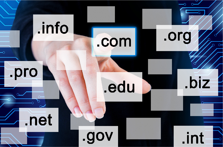 Domain Name Systems