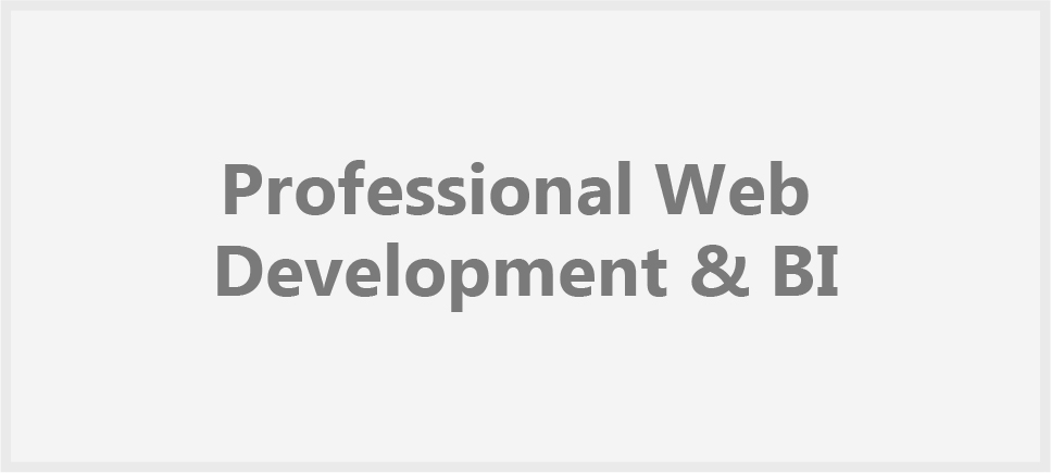 Professional Web Development & BI